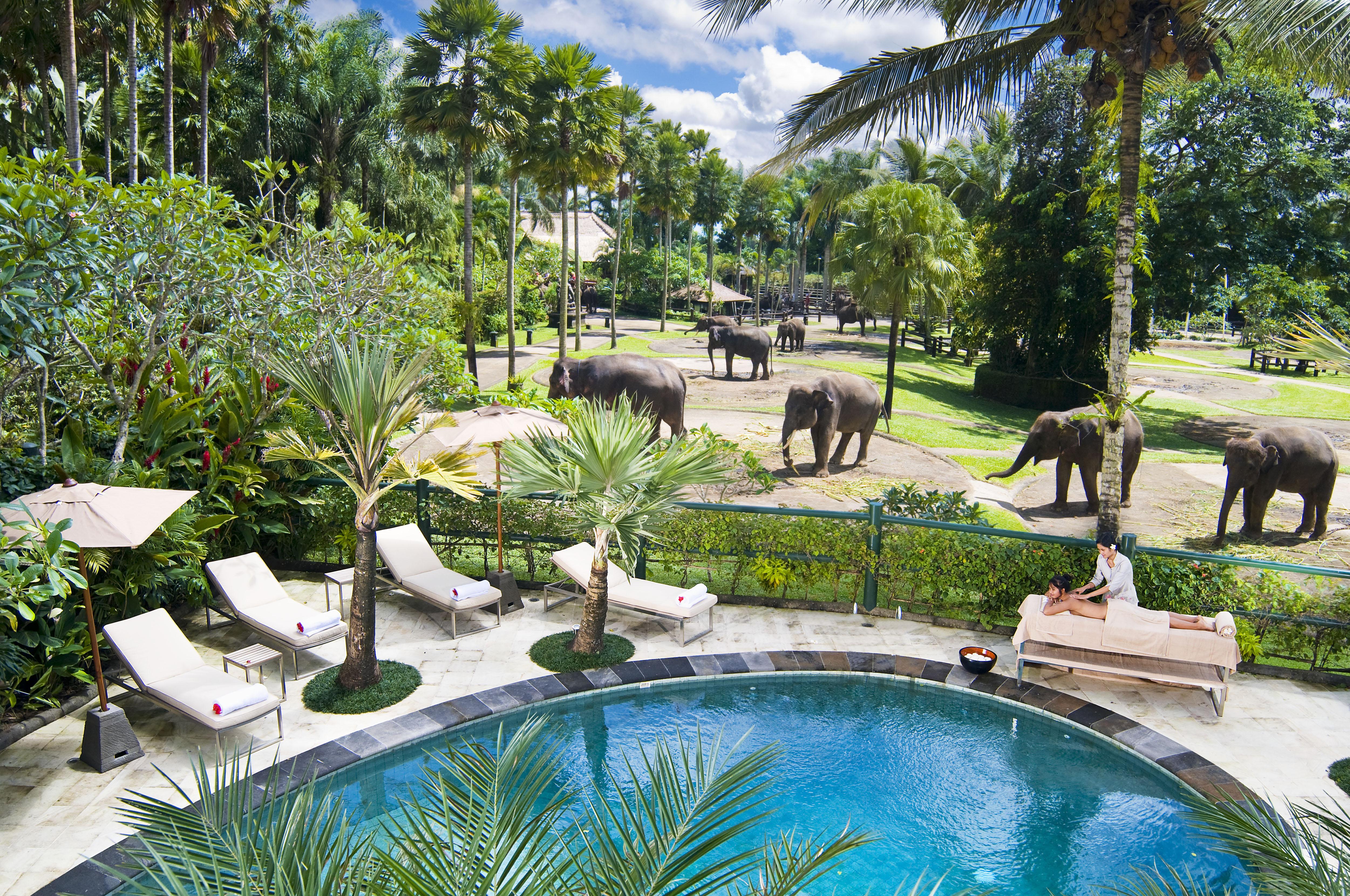 Mason Elephant Lodge Ubud Exterior foto