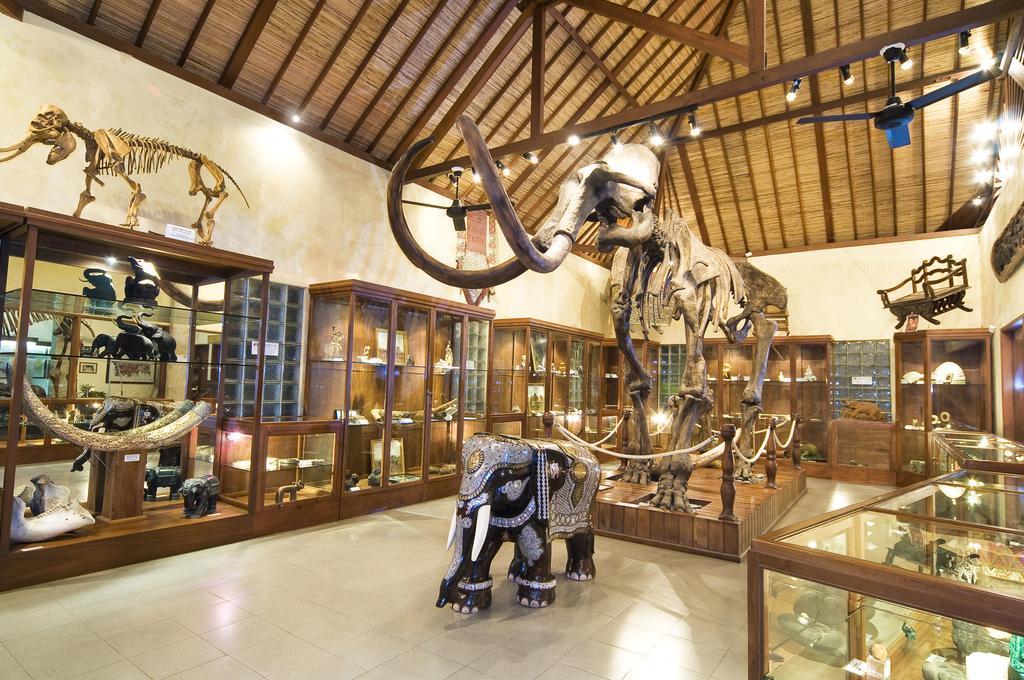 Mason Elephant Lodge Ubud Exterior foto