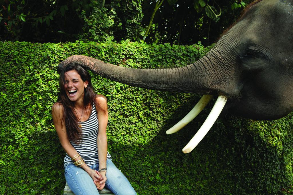 Mason Elephant Lodge Ubud Exterior foto