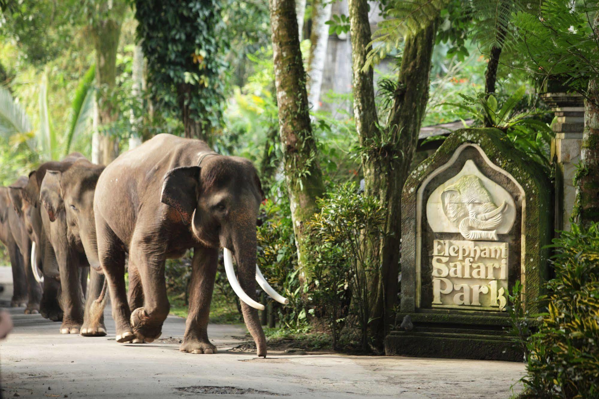 Mason Elephant Lodge Ubud Exterior foto