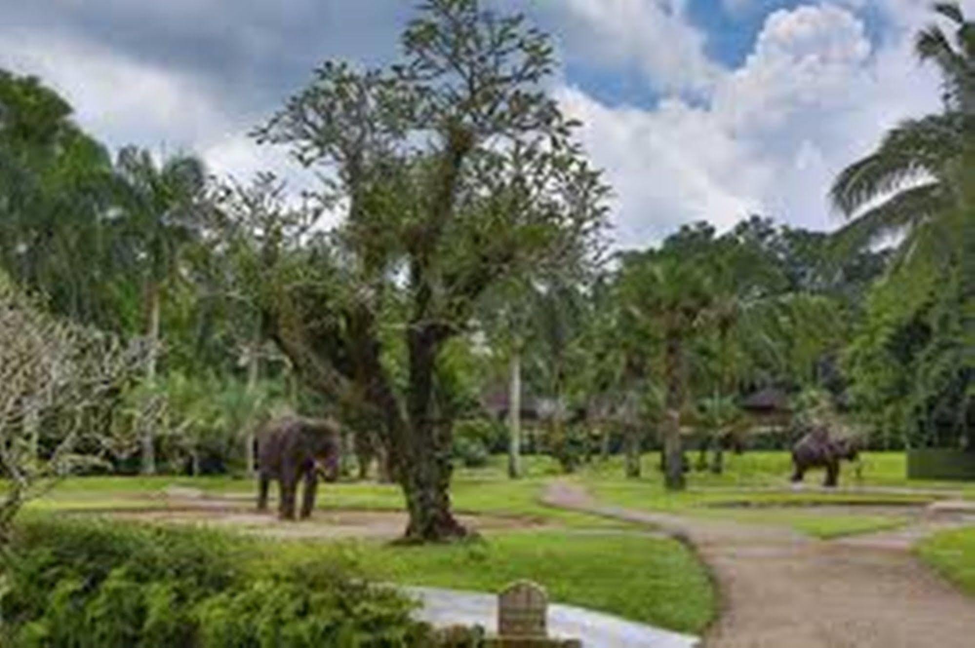 Mason Elephant Lodge Ubud Exterior foto