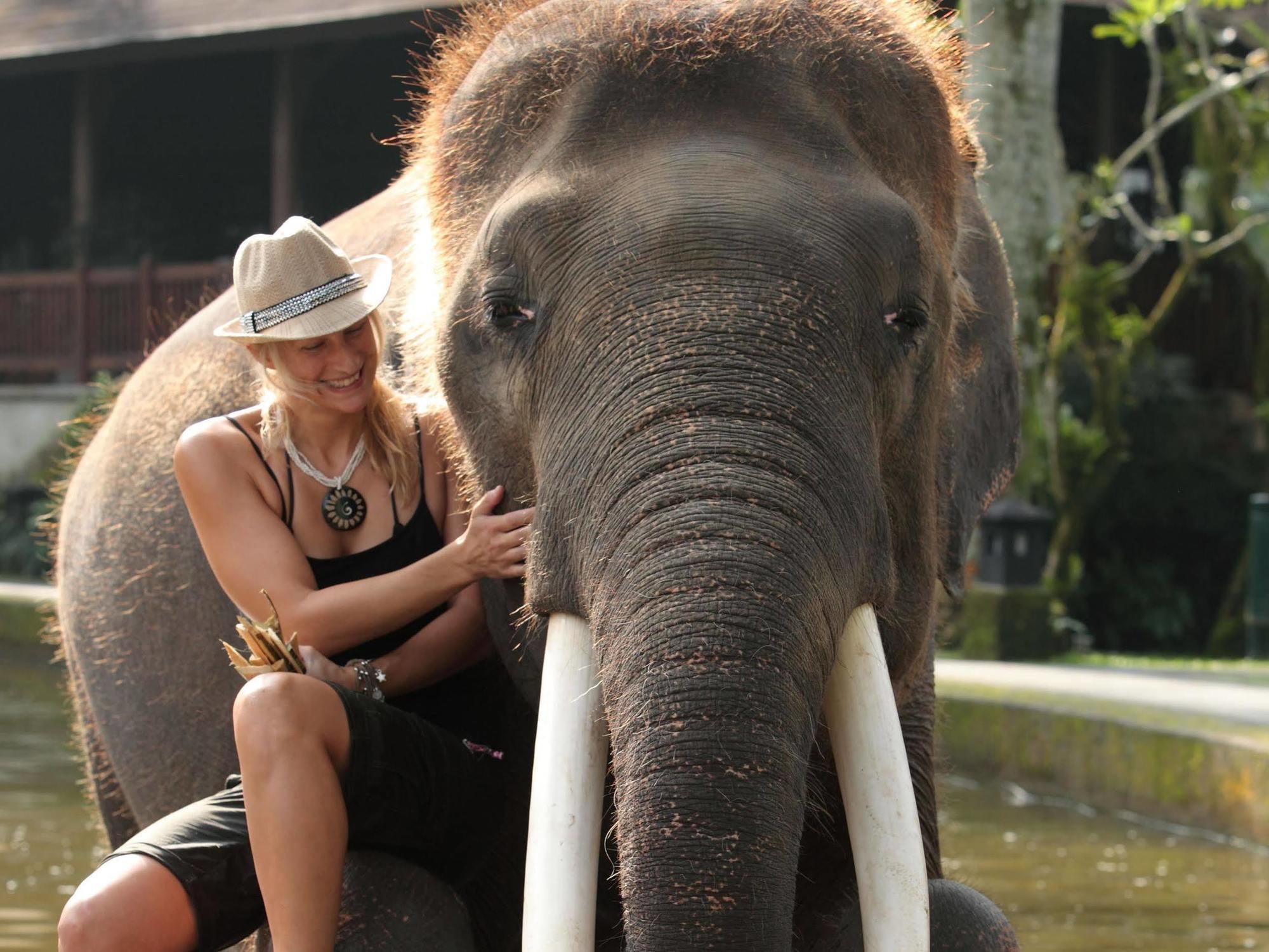 Mason Elephant Lodge Ubud Exterior foto