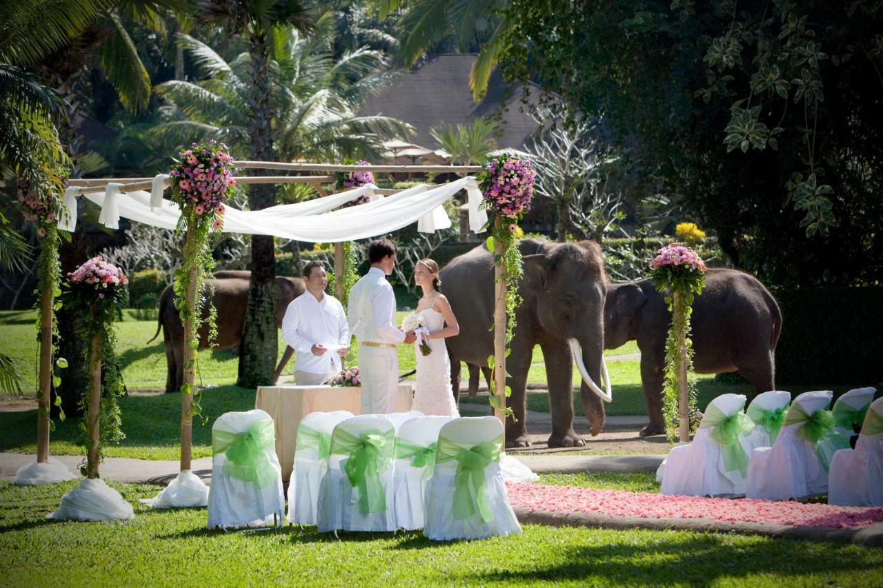 Mason Elephant Lodge Ubud Exterior foto
